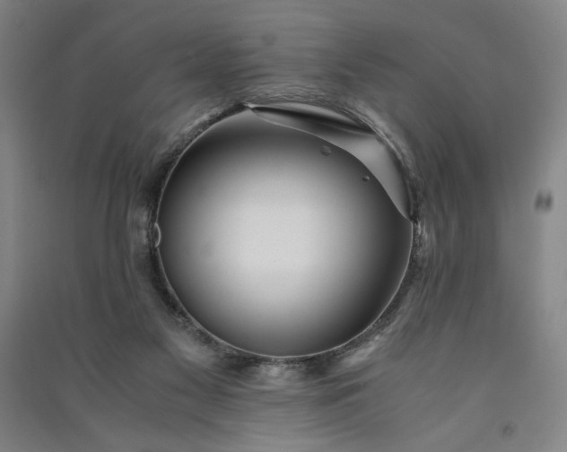 X0000091100117200708201530