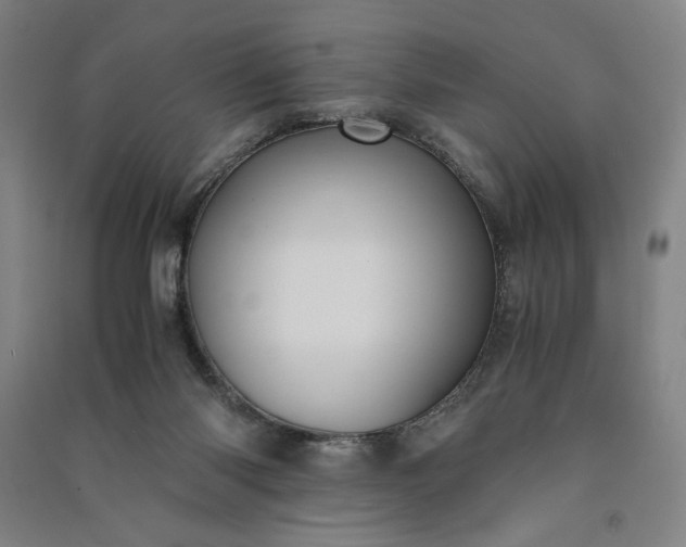 X0000091100118200708201530