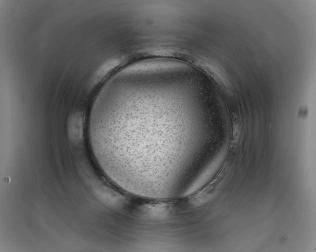 X0000091100120200708201530