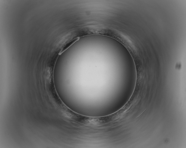 X0000091100121200708201530