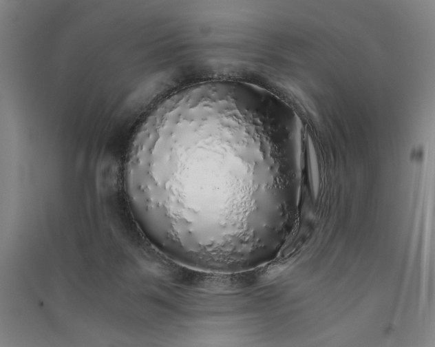 X0000091100123200708201530