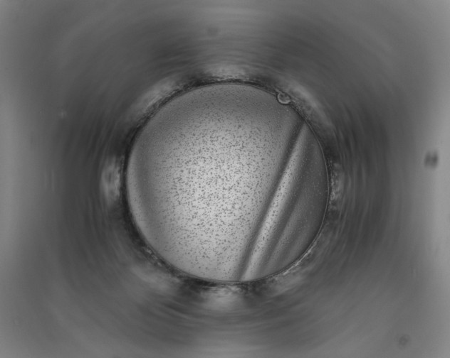 X0000091100124200708201530