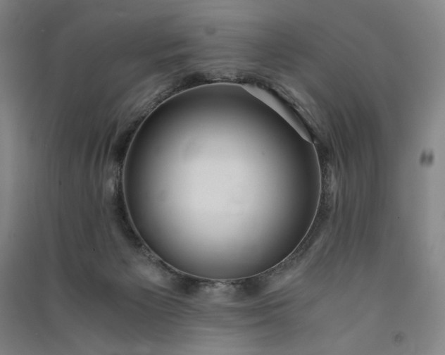 X0000091100125200708201530