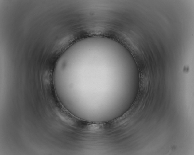 X0000091100126200708201530