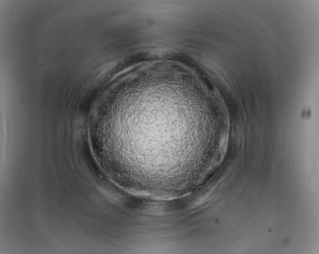 X0000091100127200708201530