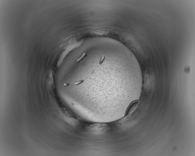 X0000091100128200708201530