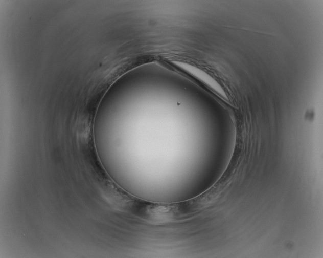 X0000091100129200708201530