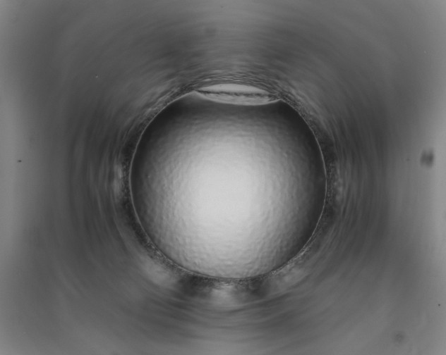 X0000091100130200708201530