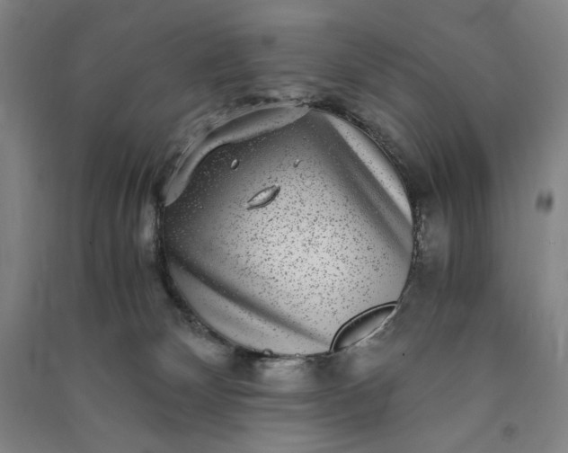 X0000091100132200708201530