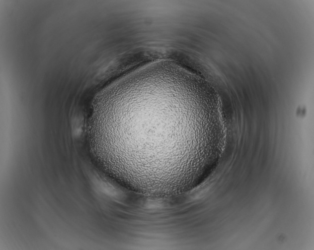 X0000091100134200708201530