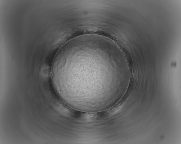 X0000091100135200708201530