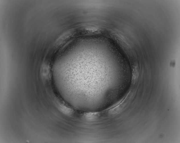 X0000091100136200708201530