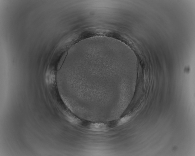 X0000091100137200708201530