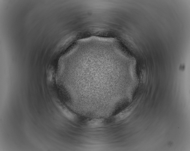 X0000091100138200708201530