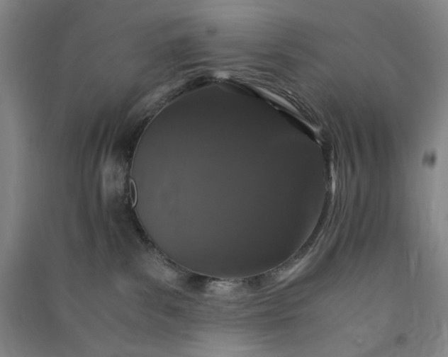 X0000091100139200708201530