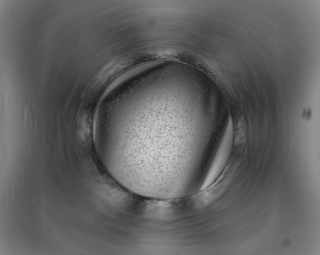 X0000091100140200708201530