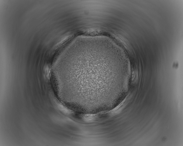 X0000091100142200708201530