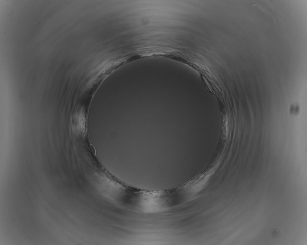 X0000091100143200708201530