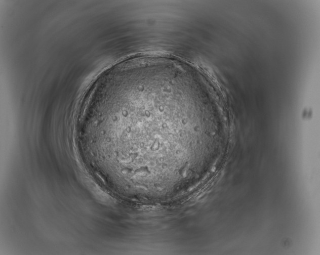 X0000091100145200708201529