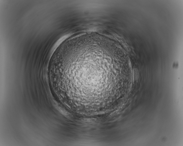 X0000091100147200708201529