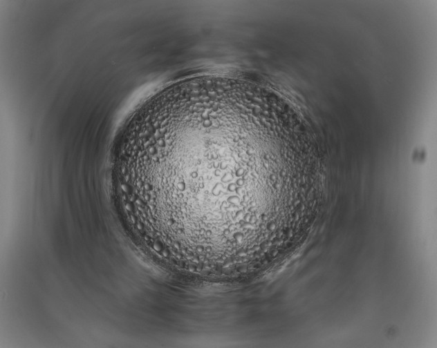 X0000091100149200708201529