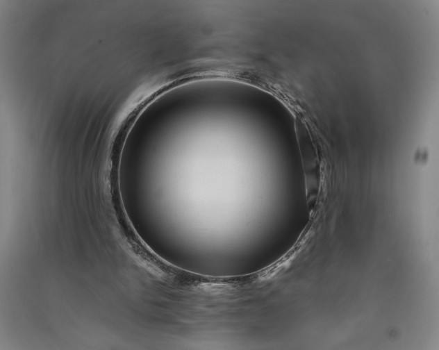 X0000091100150200708201529