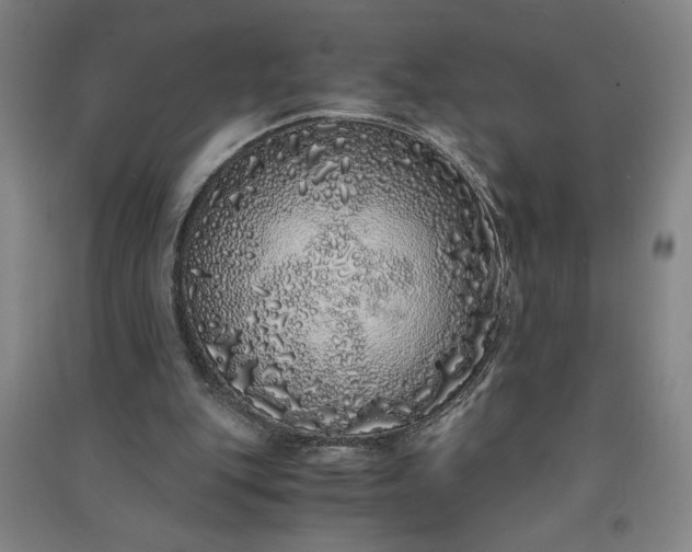 X0000091100151200708201529