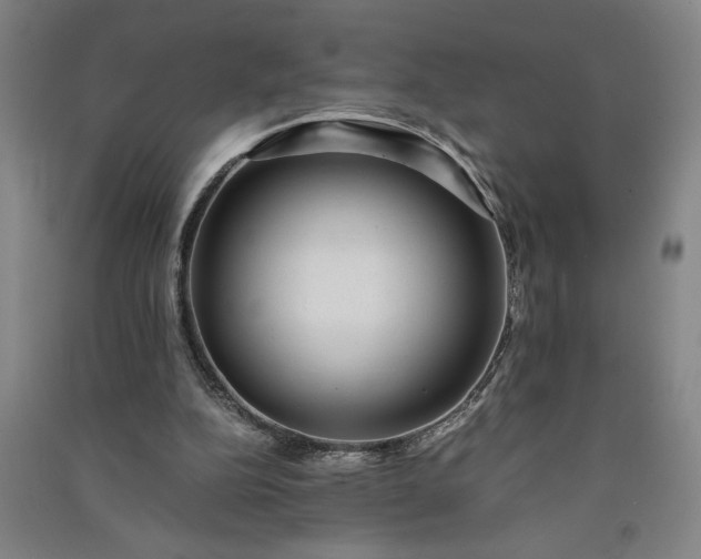 X0000091100152200708201529