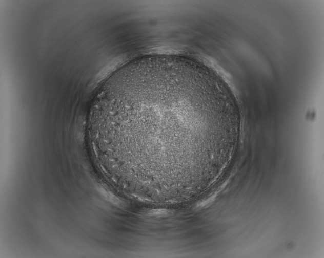 X0000091100153200708201529