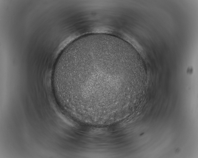 X0000091100155200708201529