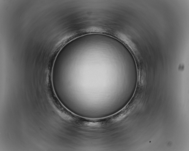 X0000091100157200708201529