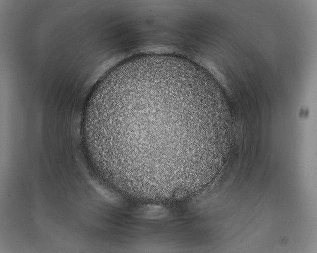 X0000091100159200708201529