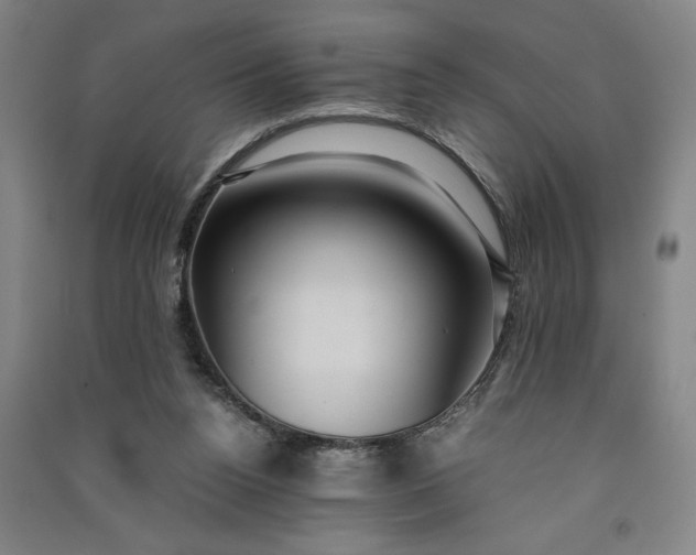 X0000091100160200708201529