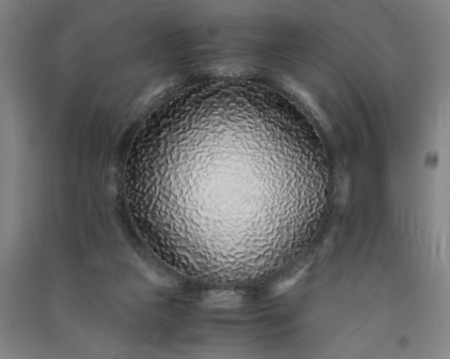 X0000091100161200708201529