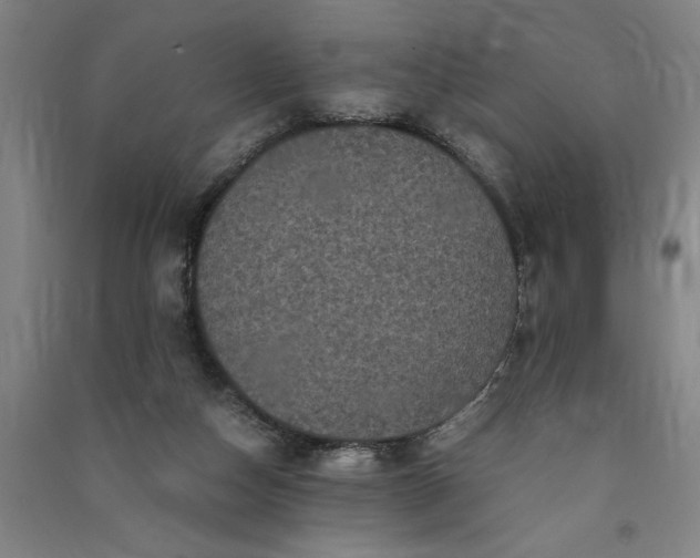 X0000091100162200708201529