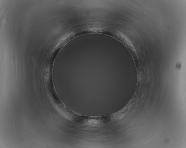 X0000091100163200708201529