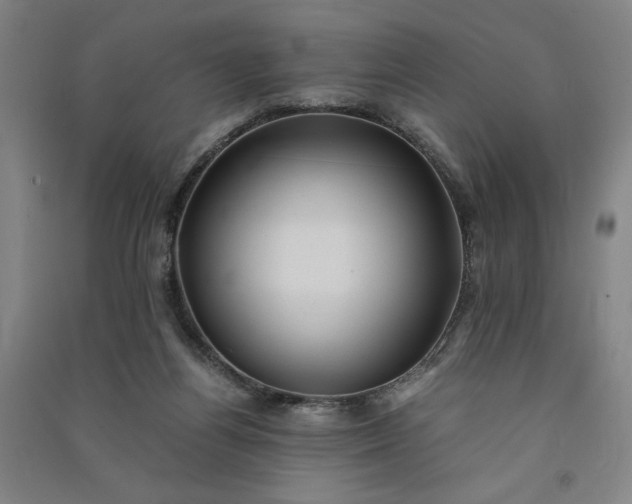 X0000091100164200708201529