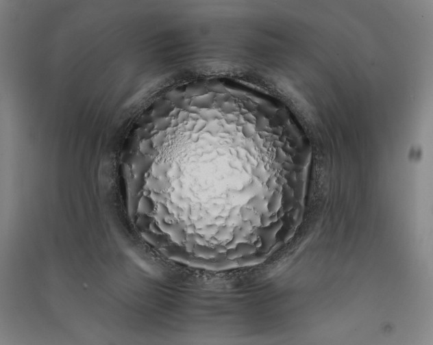 X0000091100165200708201529