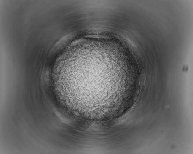 X0000091100166200708201529