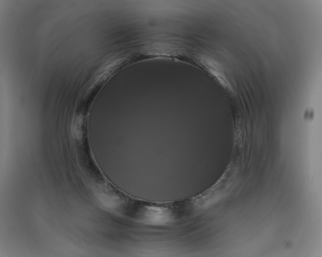 X0000091100167200708201529