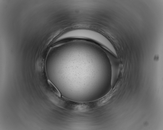 X0000091100168200708201529