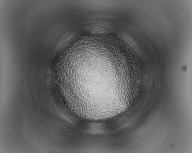 X0000091100169200708201529