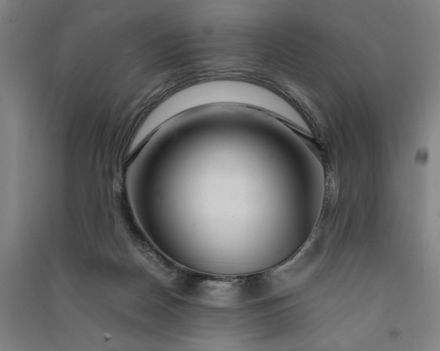 X0000091100170200708201529