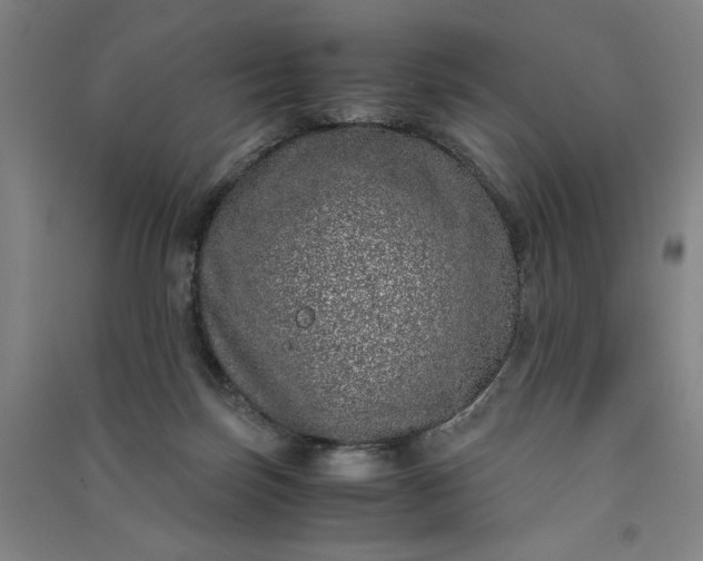 X0000091100171200708201529