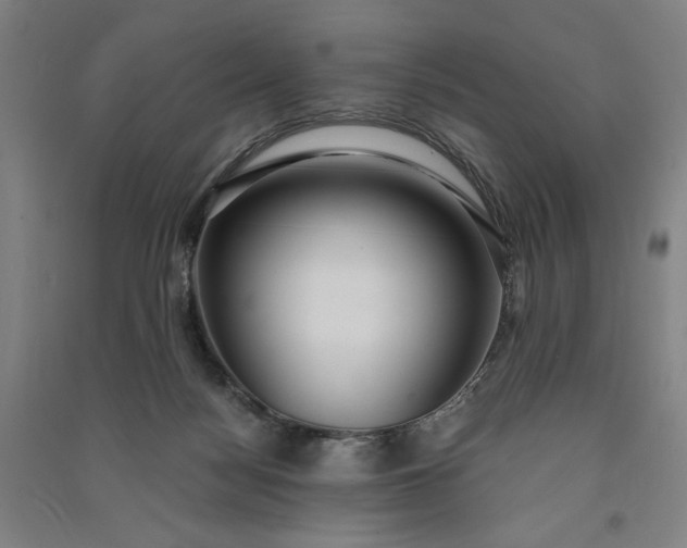 X0000091100172200708201529