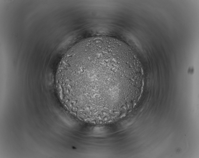 X0000091100173200708201529