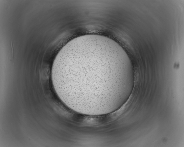 X0000091100174200708201529