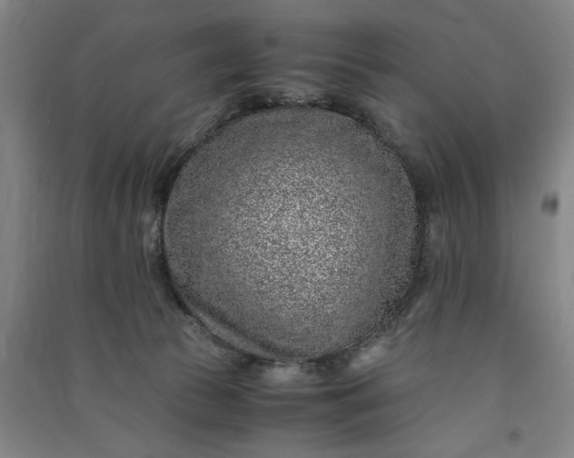 X0000091100177200708201529