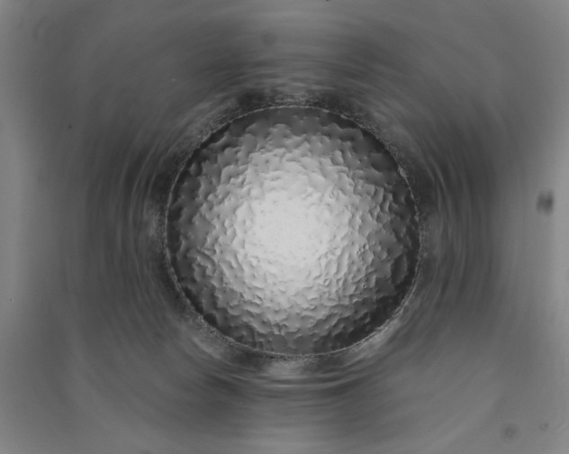 X0000091100178200708201529