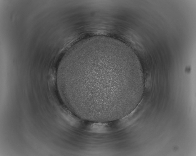 X0000091100179200708201529